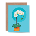 Orchid Card
