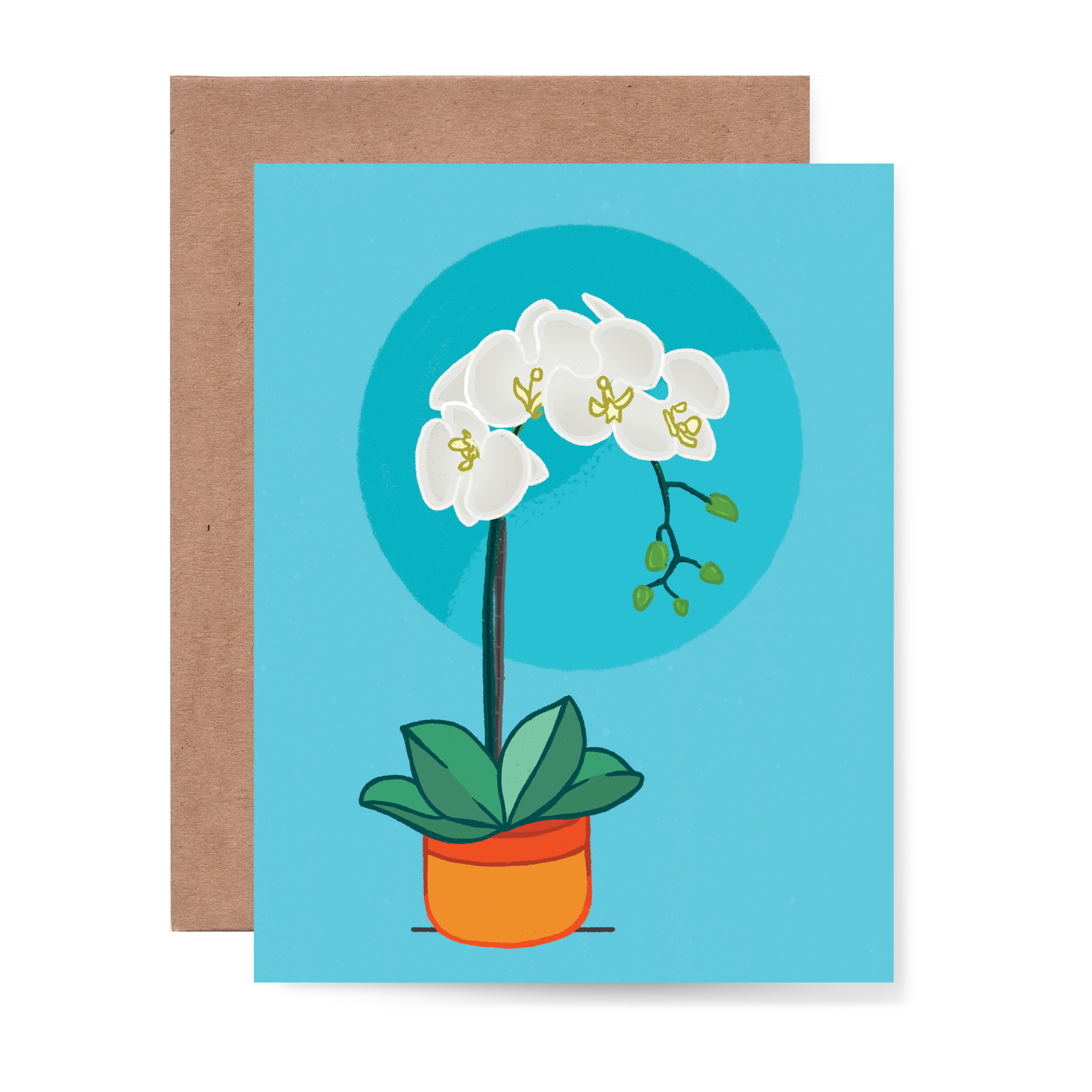 Orchid Card