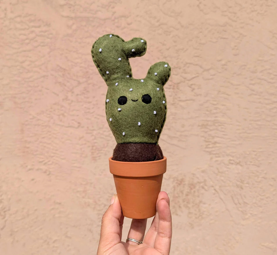 Cute Face Cactus Felt Plant