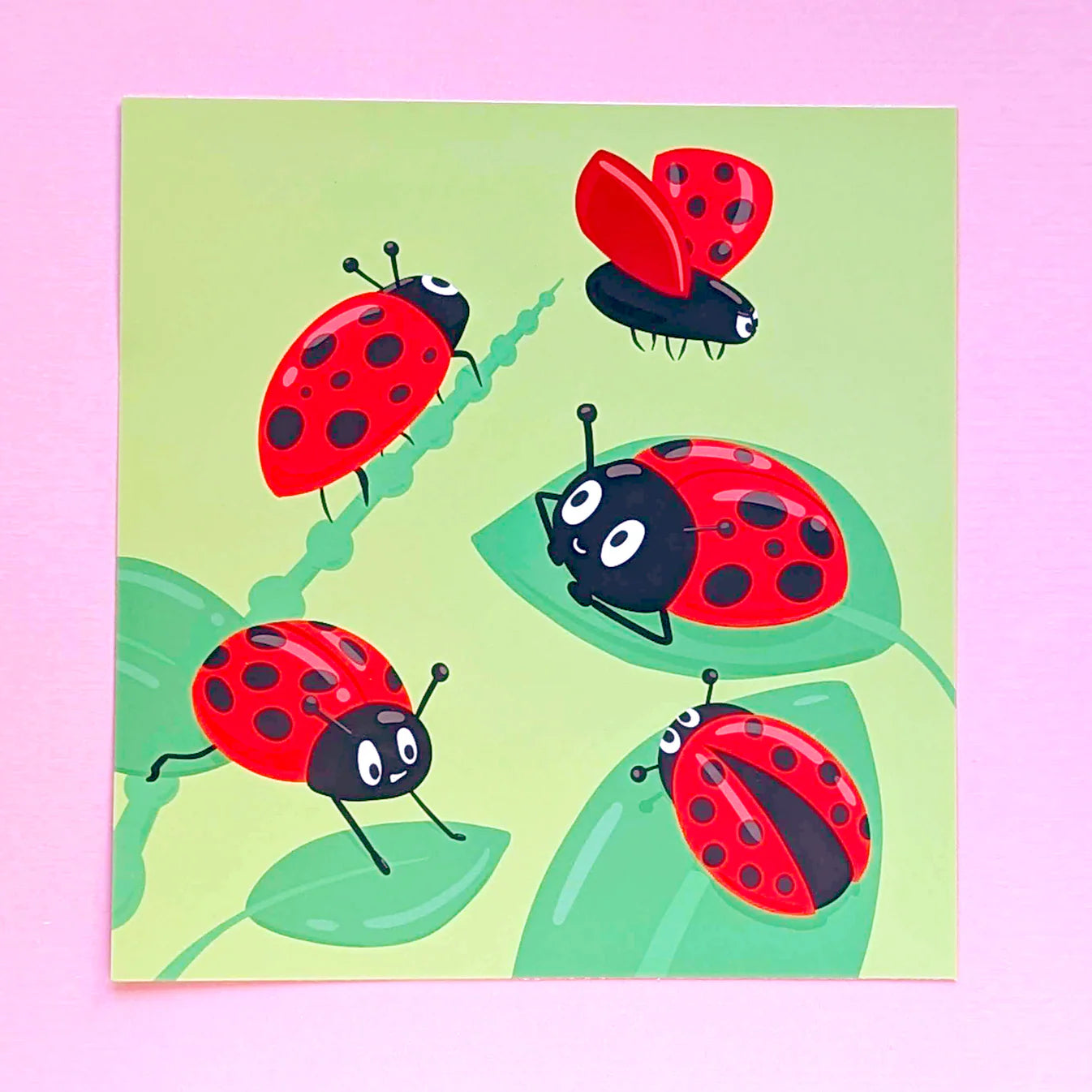 Cute Ladybuys 8x8
