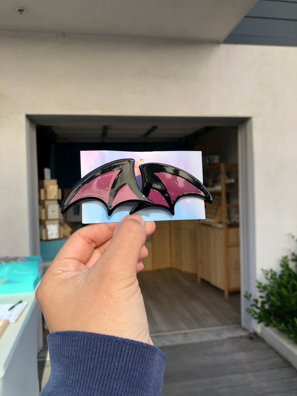 Bat Wings Hair Clips Set