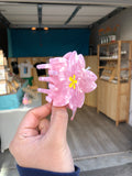 Sakura Hair Claw