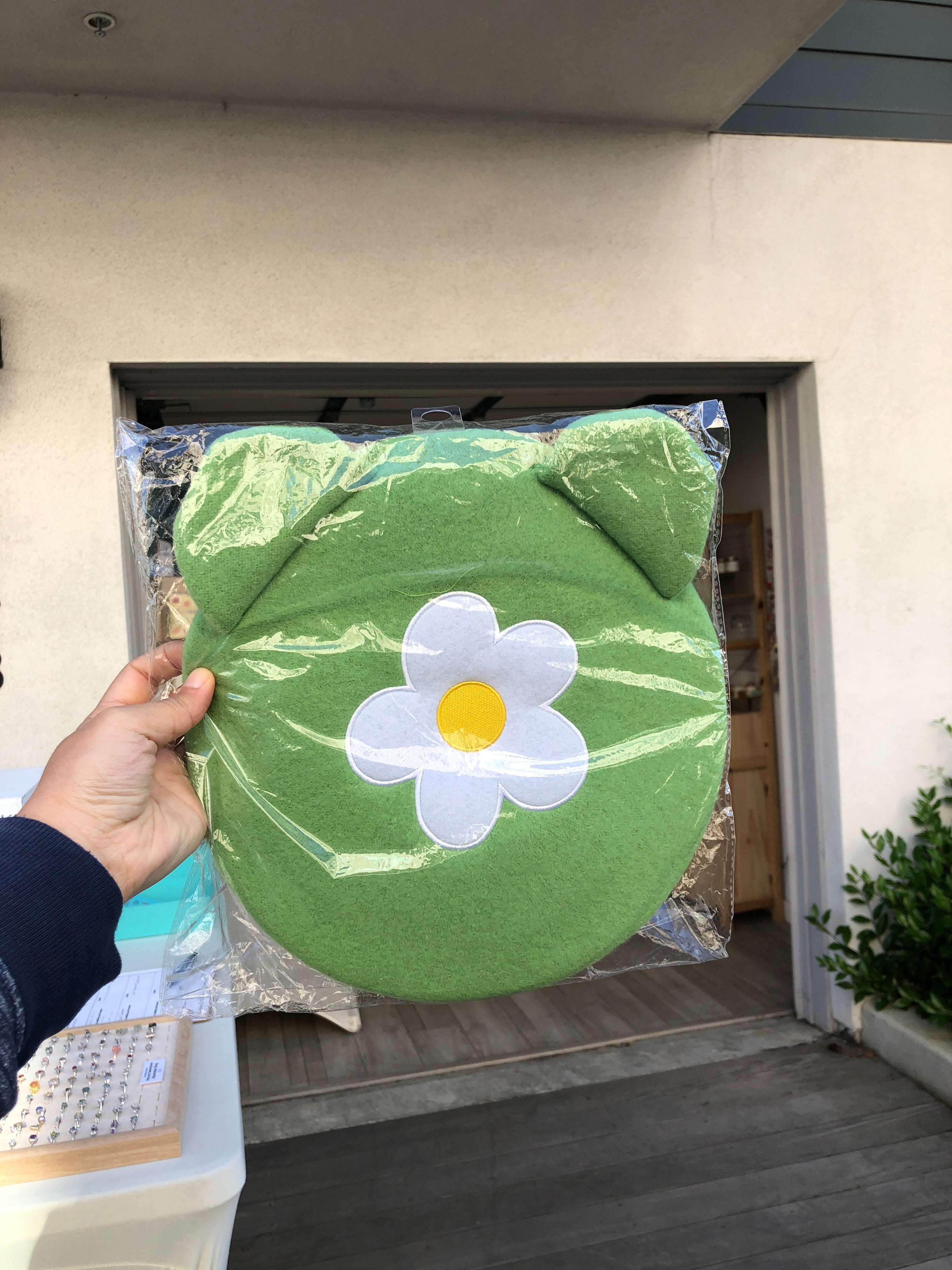 Frog Beret