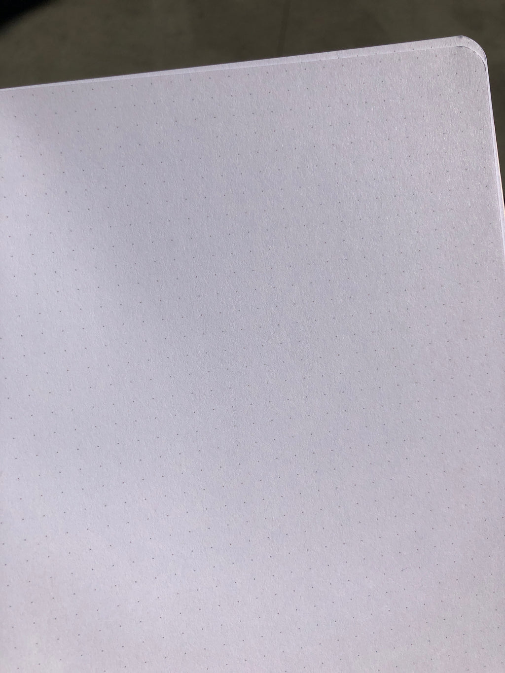 Tin Tin Needs Caffeine Dotted Journal