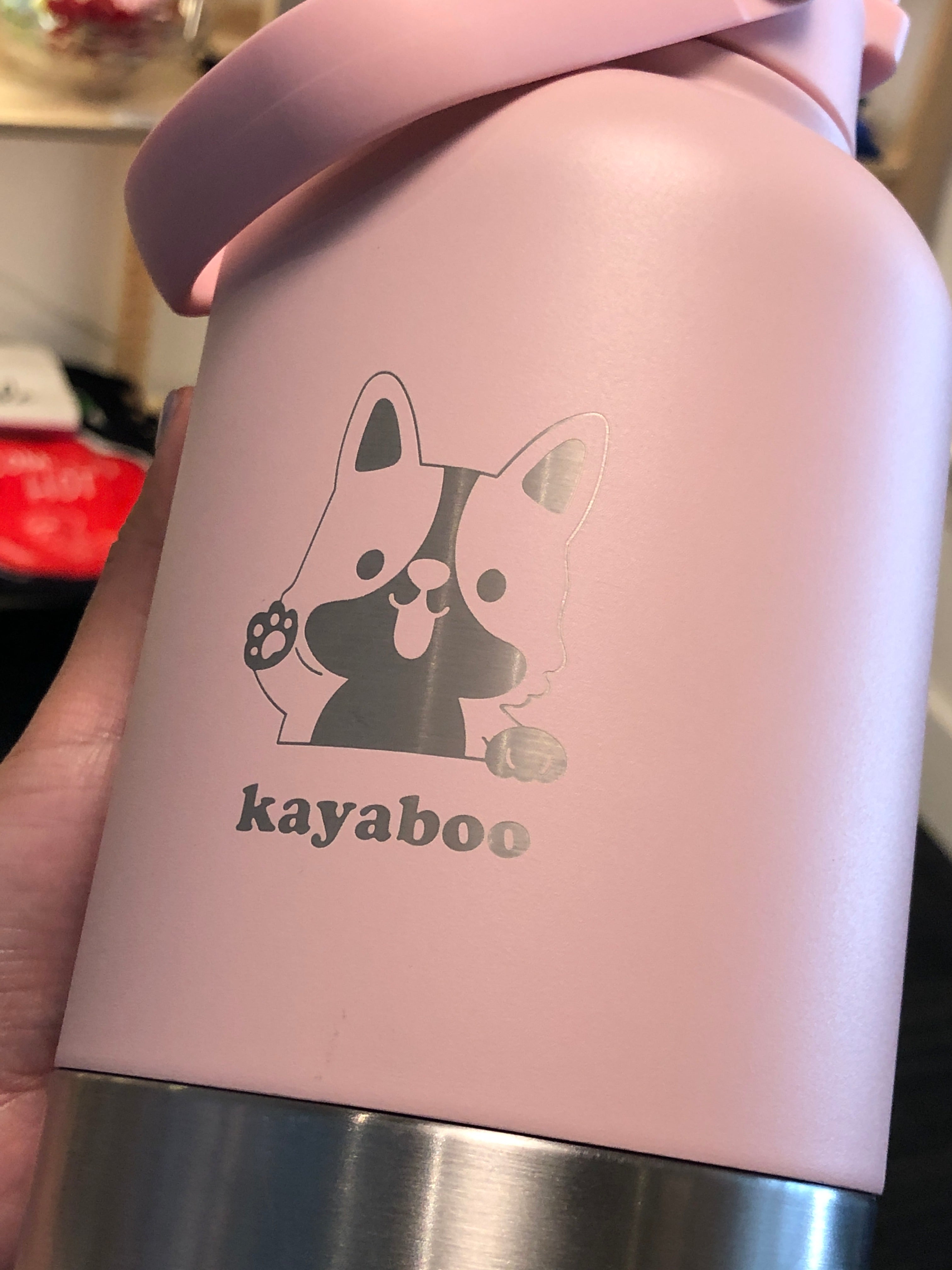 Stainless Steel Travel Bottles