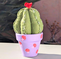 Round Felt Cactus Plant