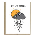 Sunshine Hug - I'm So Sorry Card