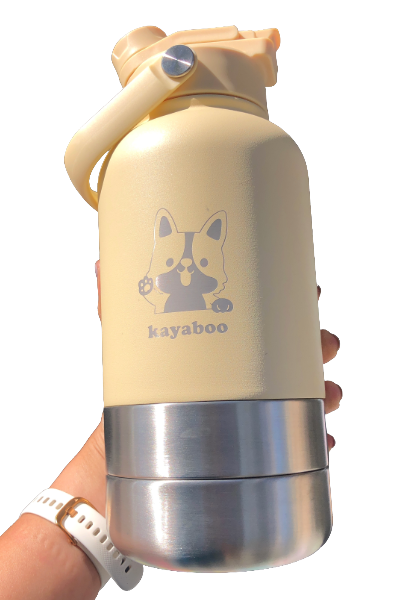 Stainless Steel Travel Bottles