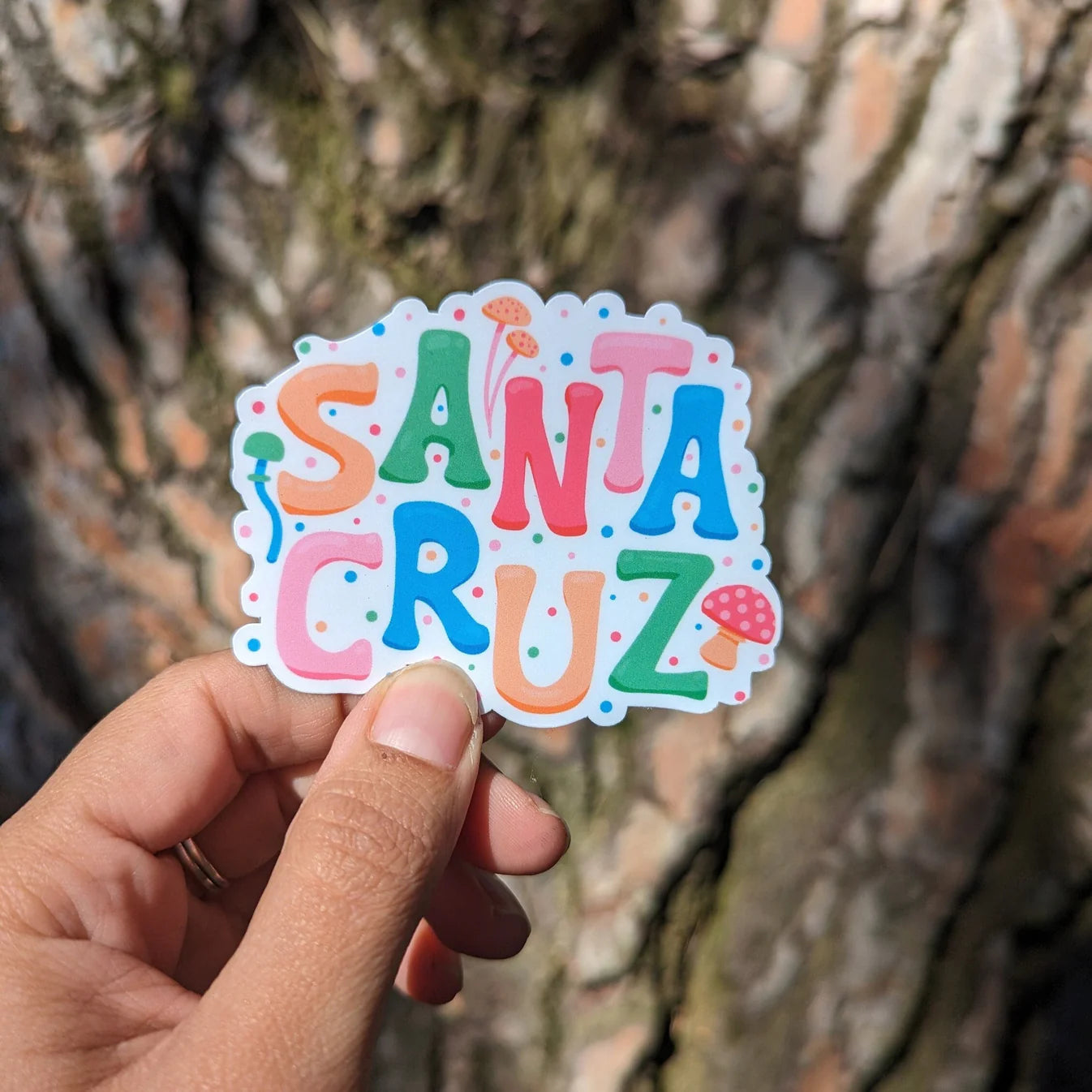 Santa Cruz City Sticker
